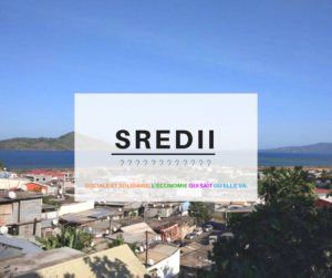 Le SRDEII c’est quoi ?